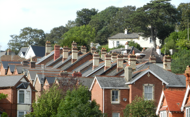 roofs of residential buildings in Newton Abbot